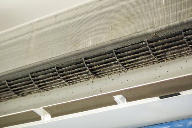 Best Ventilation Cleaning Services  in Rheems, PA
